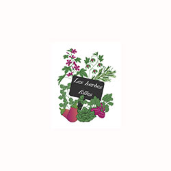 logo_Herbes_Folles
