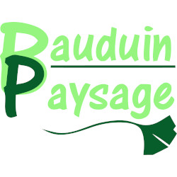 bauduin-logo