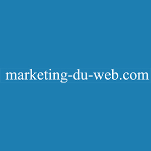 marketing du web